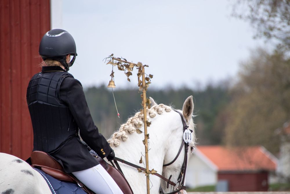 Rider on white horse seen from behind against red barn background.