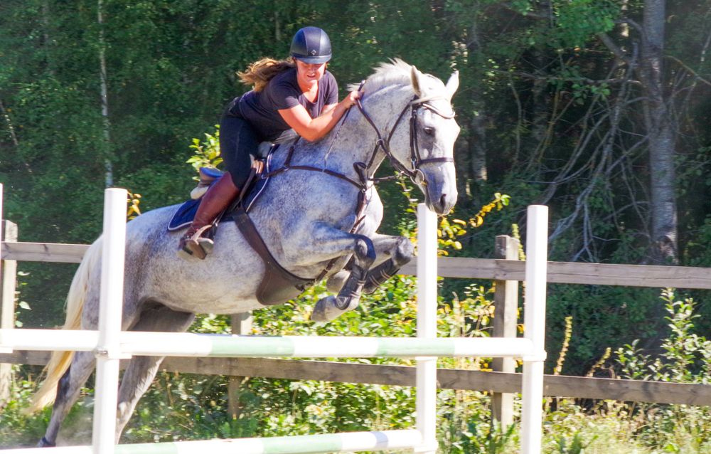 An equestrian riding a grey horse leaps over a white fence during competition.