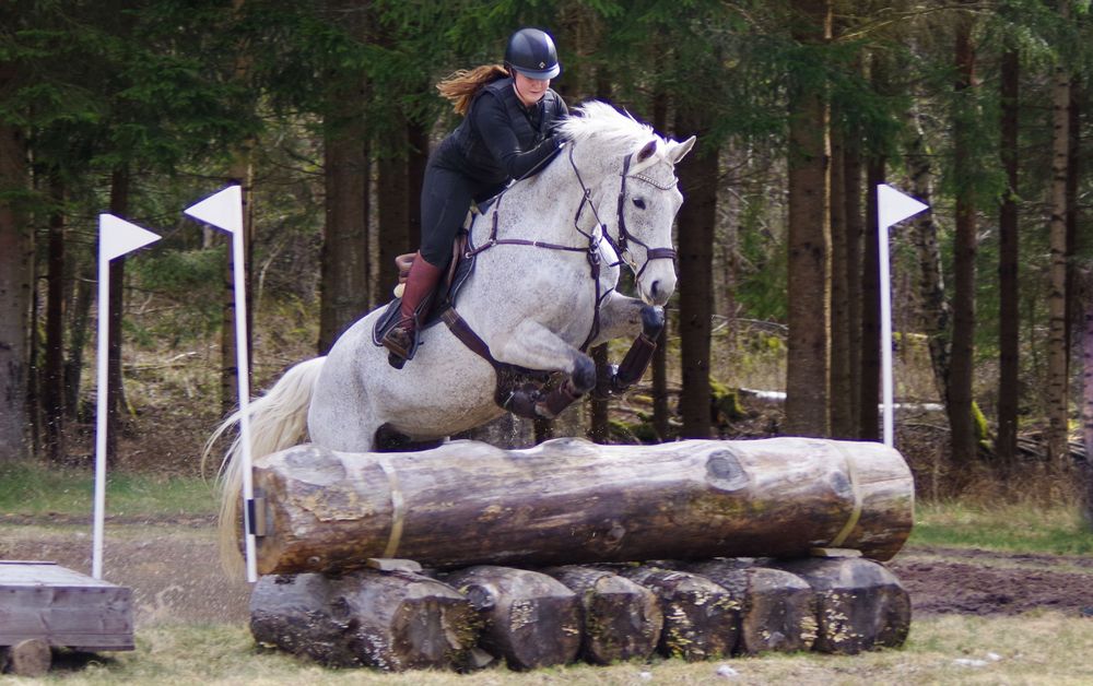A horse and rider jumping over a log obstacle during a cross-country event.