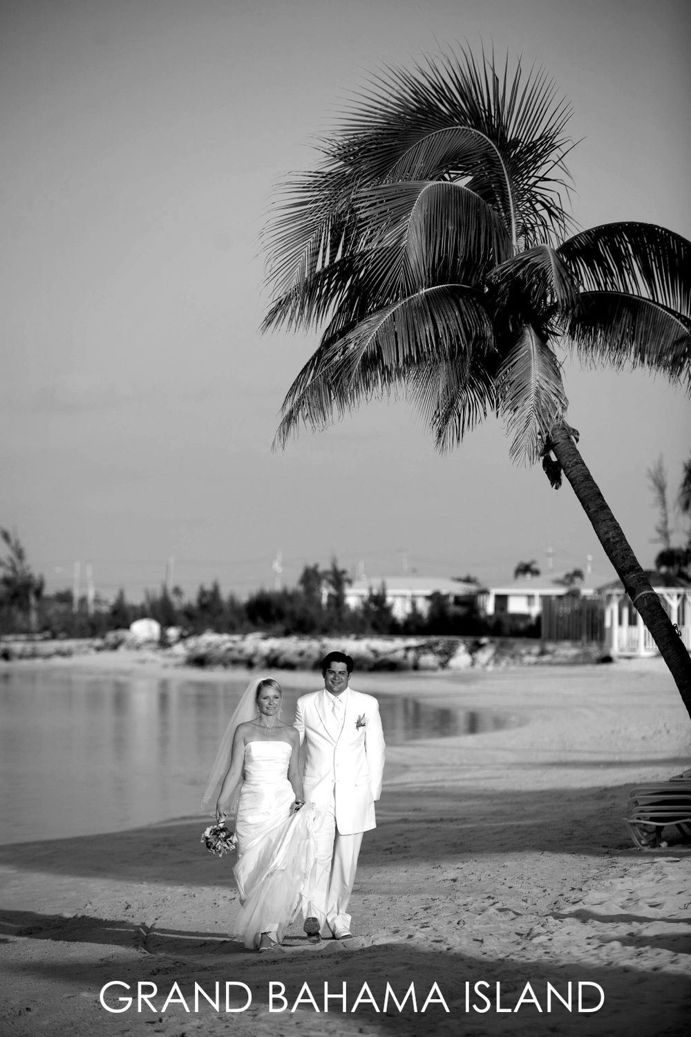 Black and white beach wedding photo with palm tree on Grand Bahama Island.