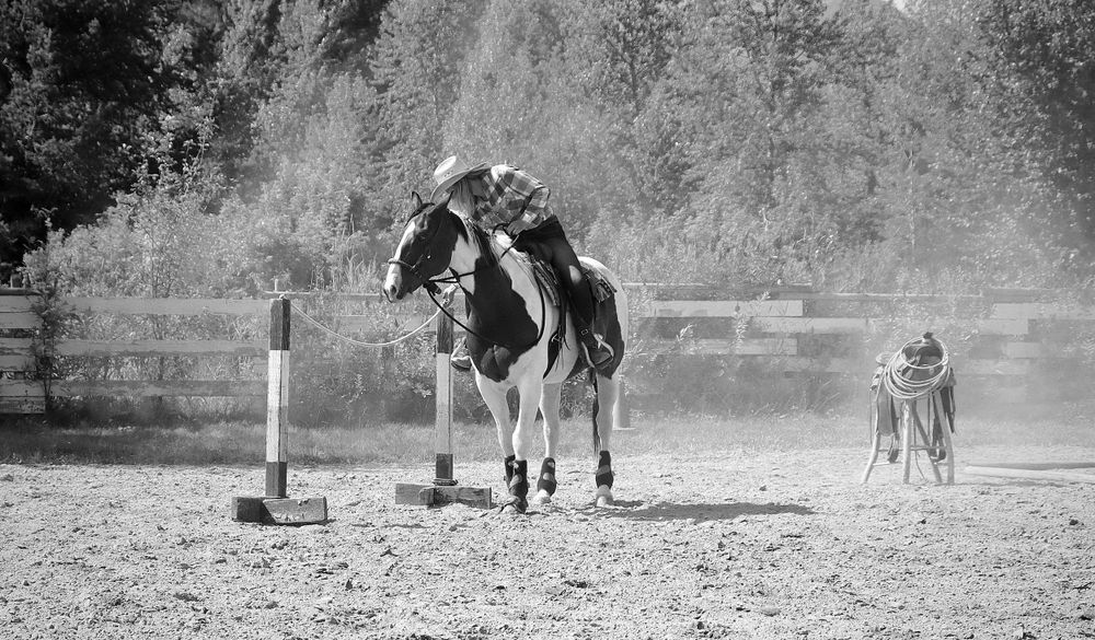 Female Horse Rider Obstacle Course Photo