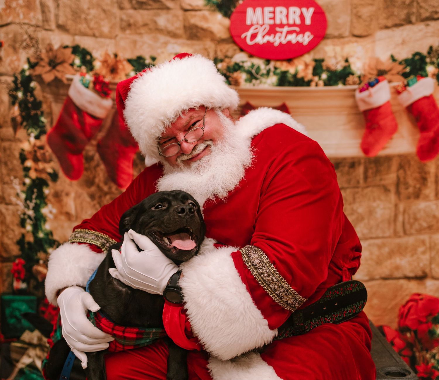 Santa Claus joyfully hugs a happy black puppy in front of a Merry Christmas fireplace display.