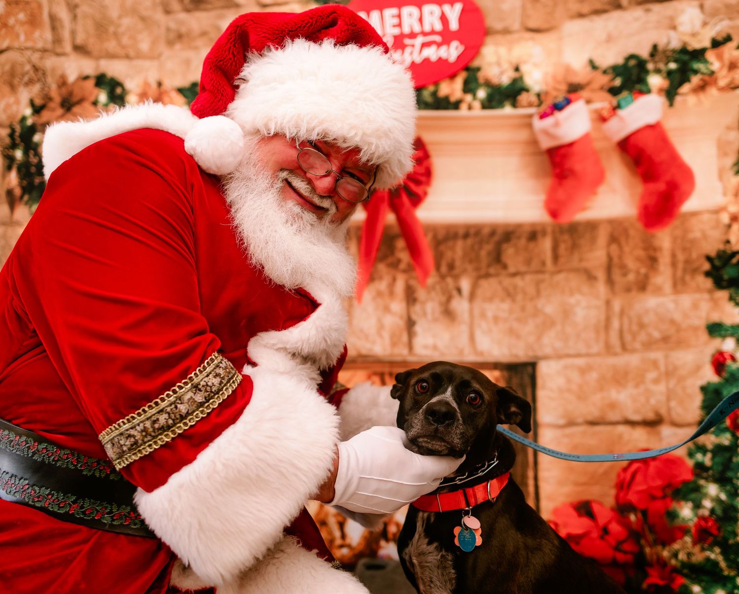 Santa Claus smiling and petting a black dog on leash before a Merry Christmas fireplace backdrop.