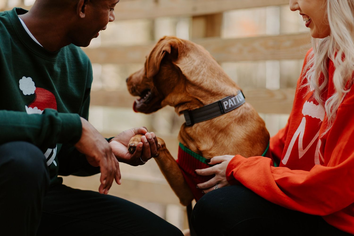 Couple in holiday attire teaching their brown Vizsla dog to shake hands on a wooden surface.