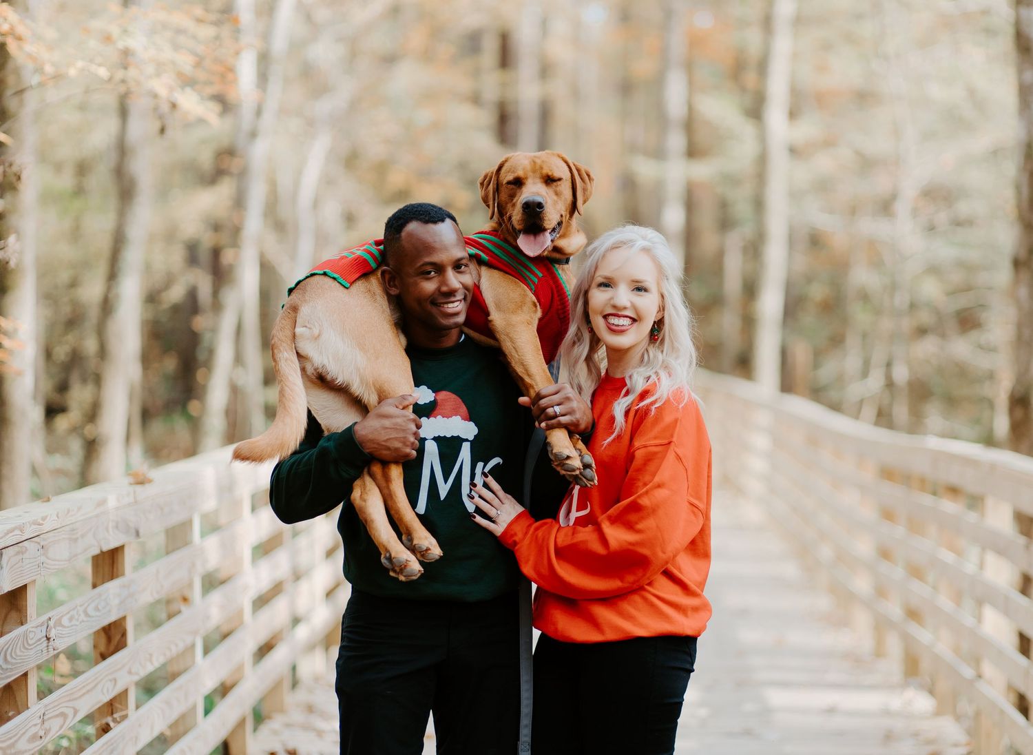Happy couple holding their brown Vizsla dog in a red sweater on a wooden bridge in autumn.