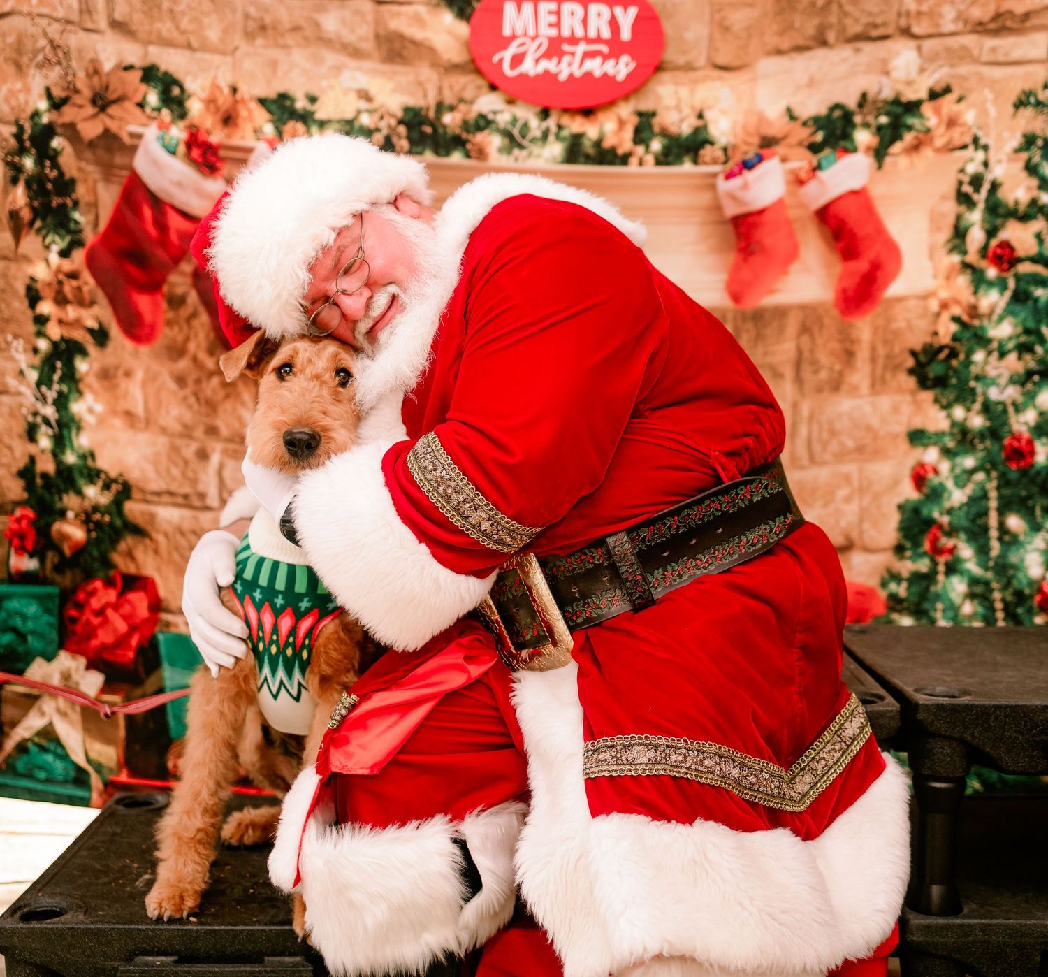 Santa Claus lovingly hugs a small terrier dog wearing a festive sweater in a Christmas photo session.