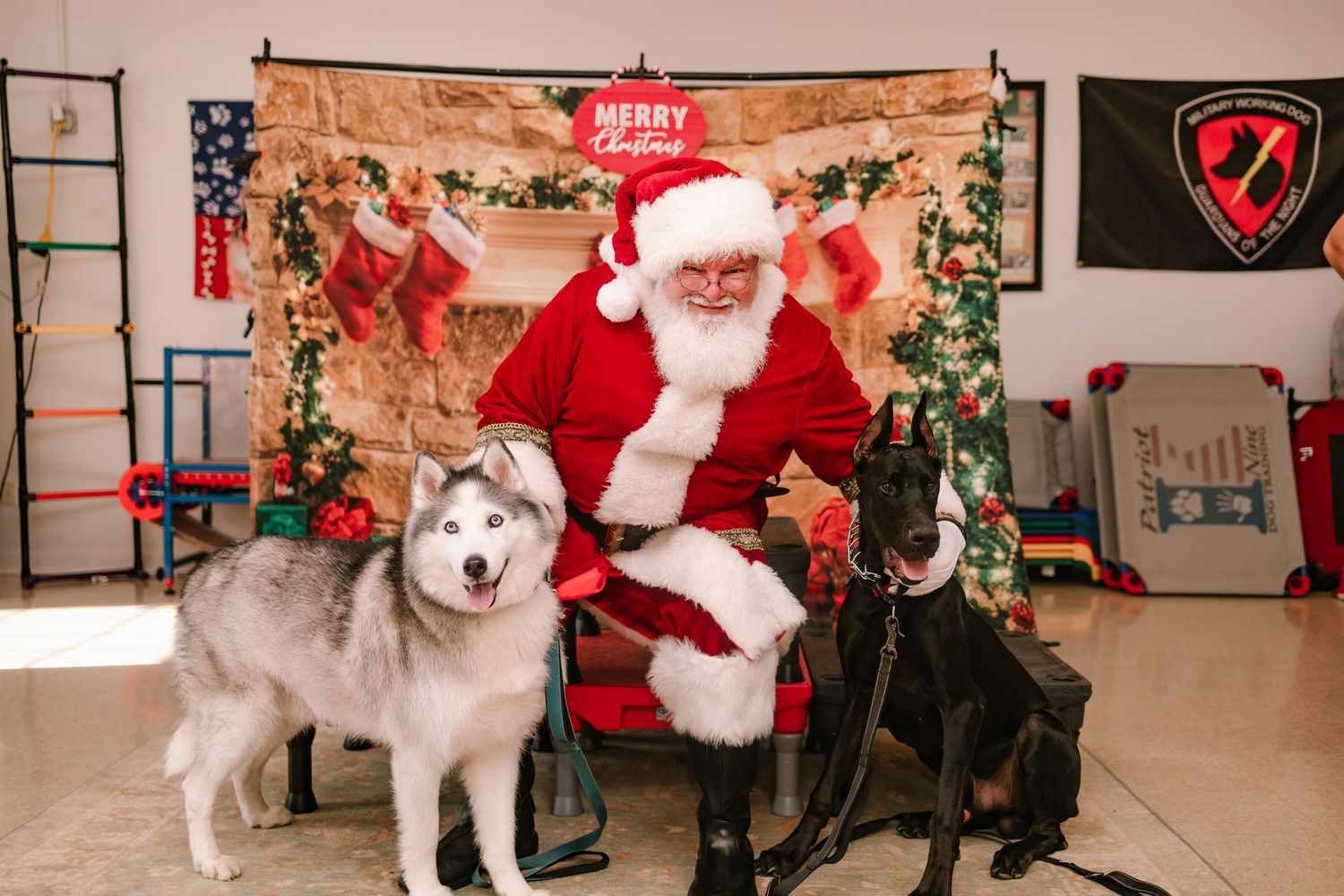 Santa Claus poses with two huskies in front of a festive Christmas backdrop with stockings and holiday decorations.