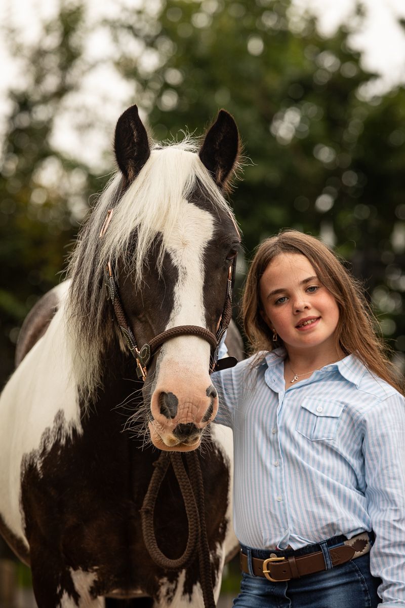 A majestic black and white horse poses with its young companion in an outdoor setting.