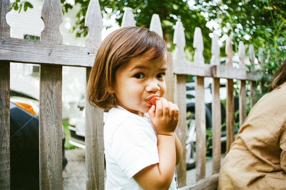 A candid moment captured of a toddler standing by a wooden fence in summer.
