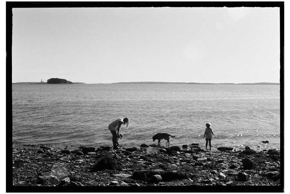 Silhouettes of people and a dog exploring a rocky shoreline against a serene horizon.