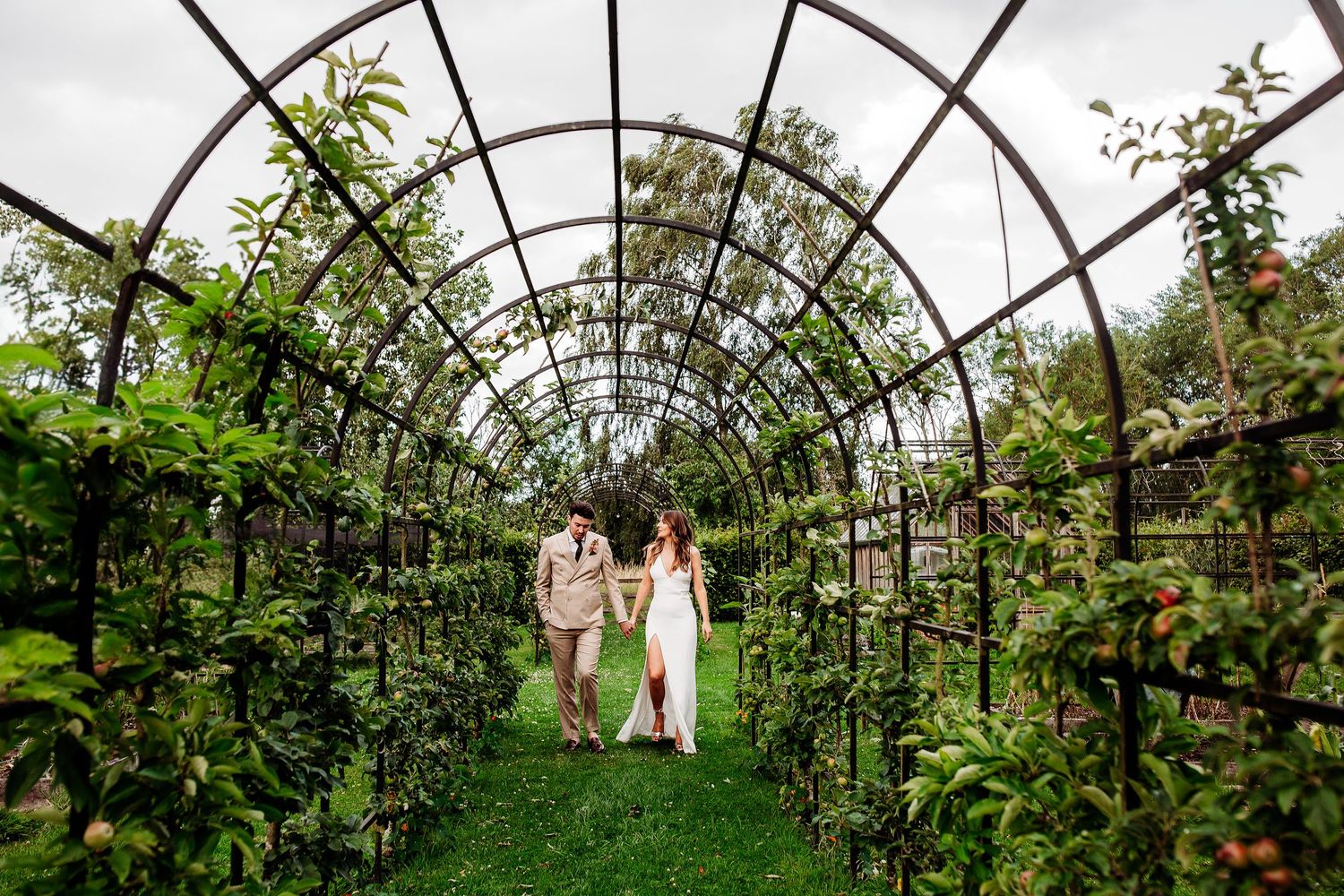 Wedding couple stroll through an arched garden tunnel covered in climbing vines.