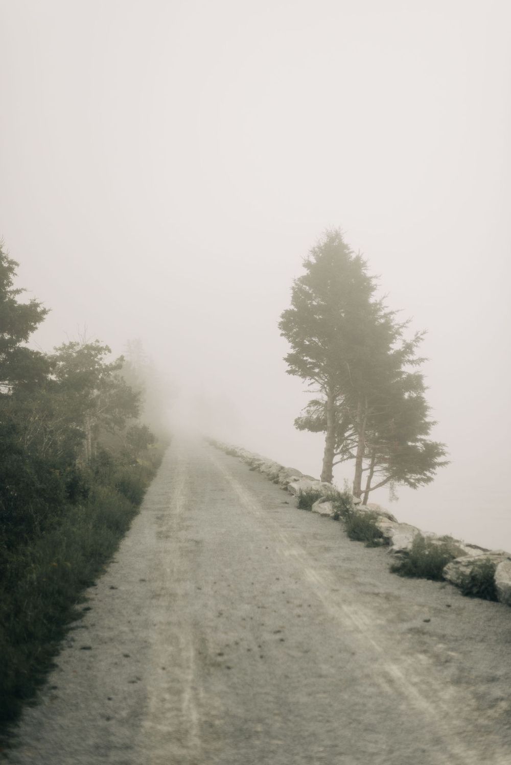 Foggy mountain path leading uphill with evergreen trees silhouetted against misty sky.