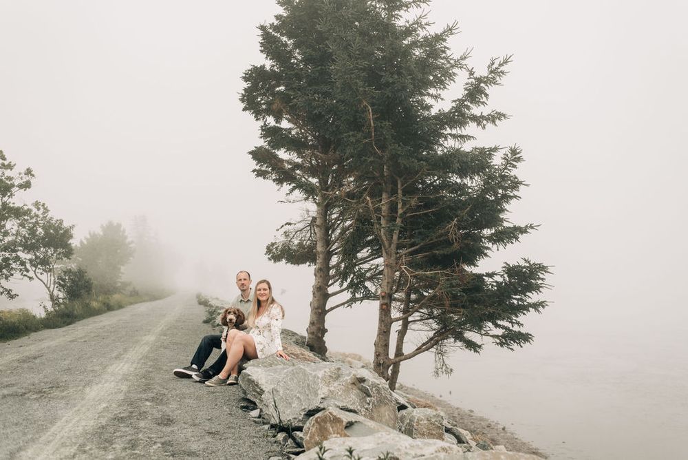 A couple sits together on a foggy mountain road near a large evergreen tree.