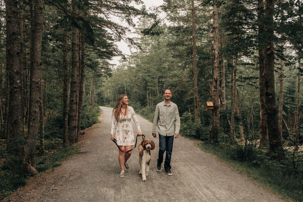 A couple walks their dog down a tree-lined forest path on a cloudy day.