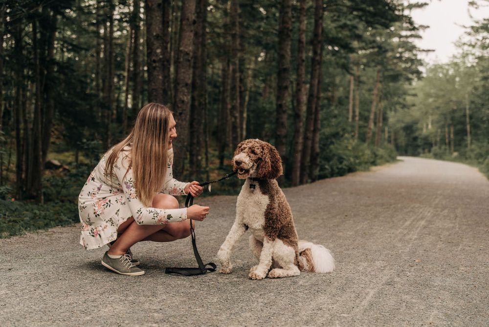 A person crouches next to their curly-haired dog on a forest path.