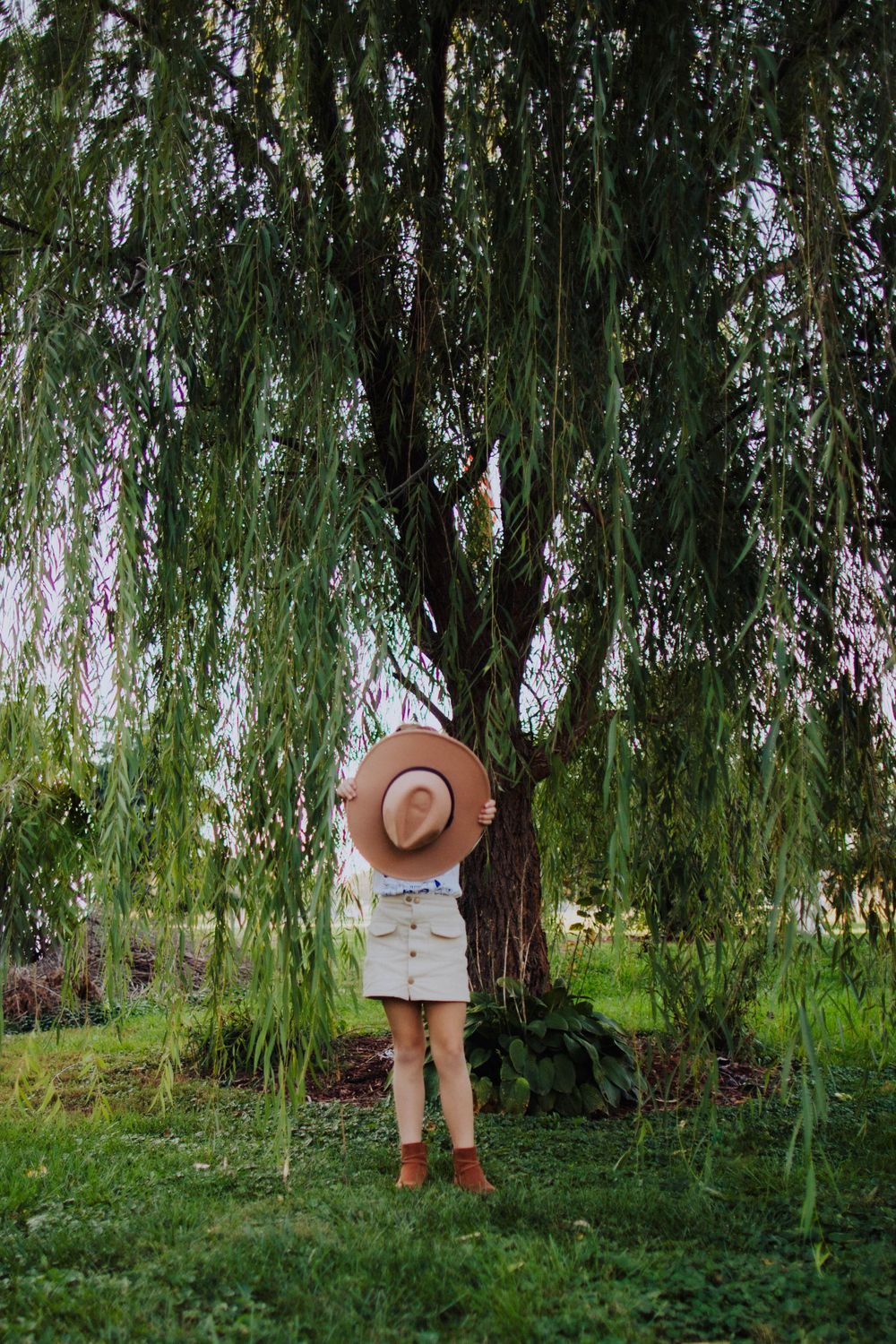 A willow tree creates a dramatic backdrop in a lush green garden setting.