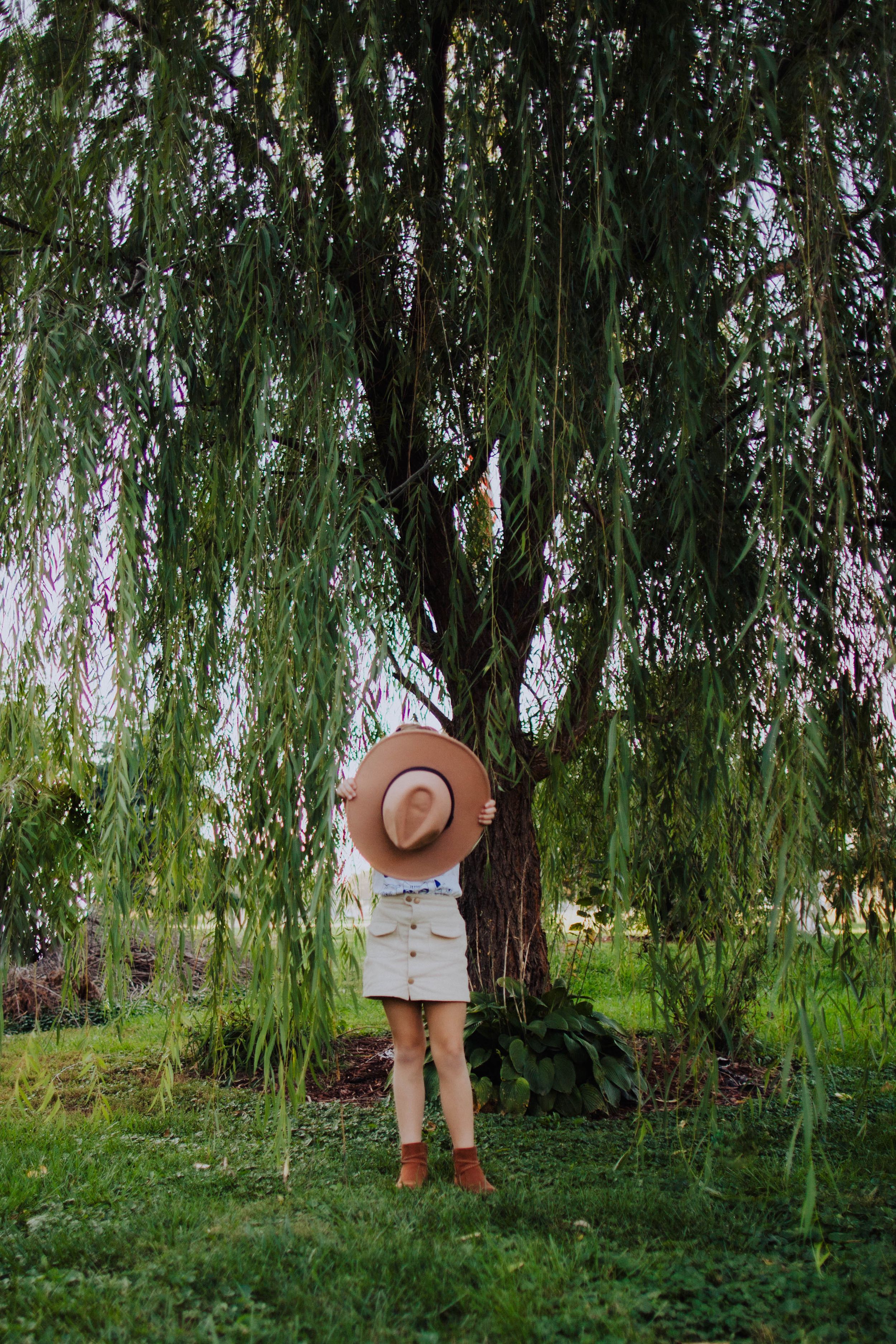 A willow tree creates a dramatic backdrop in a lush green garden setting.