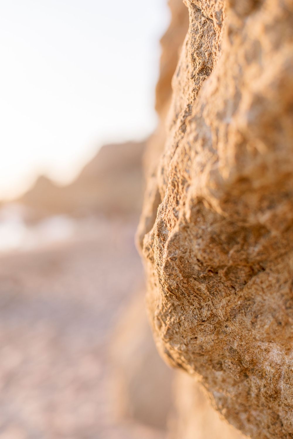 Close-up detail of textured limestone cliff face with soft golden lighting.