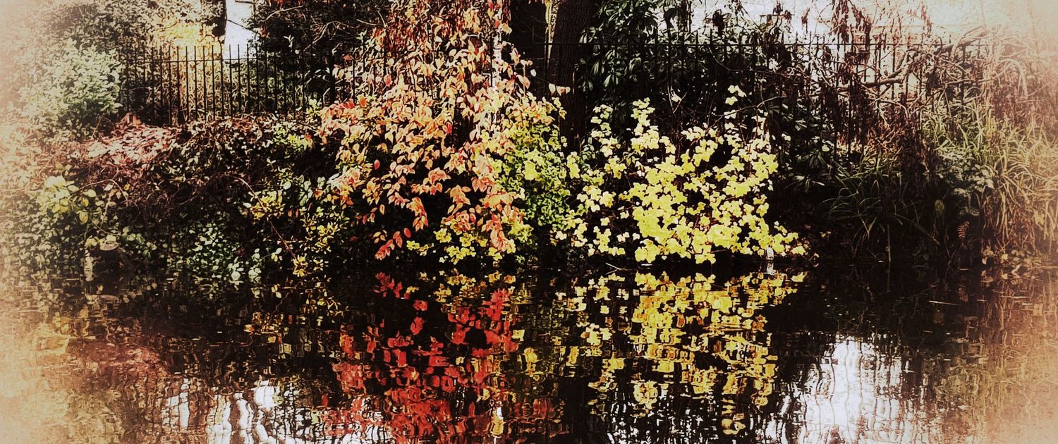 paul heaney photography abstract photographic art colourful trees reflections canalside