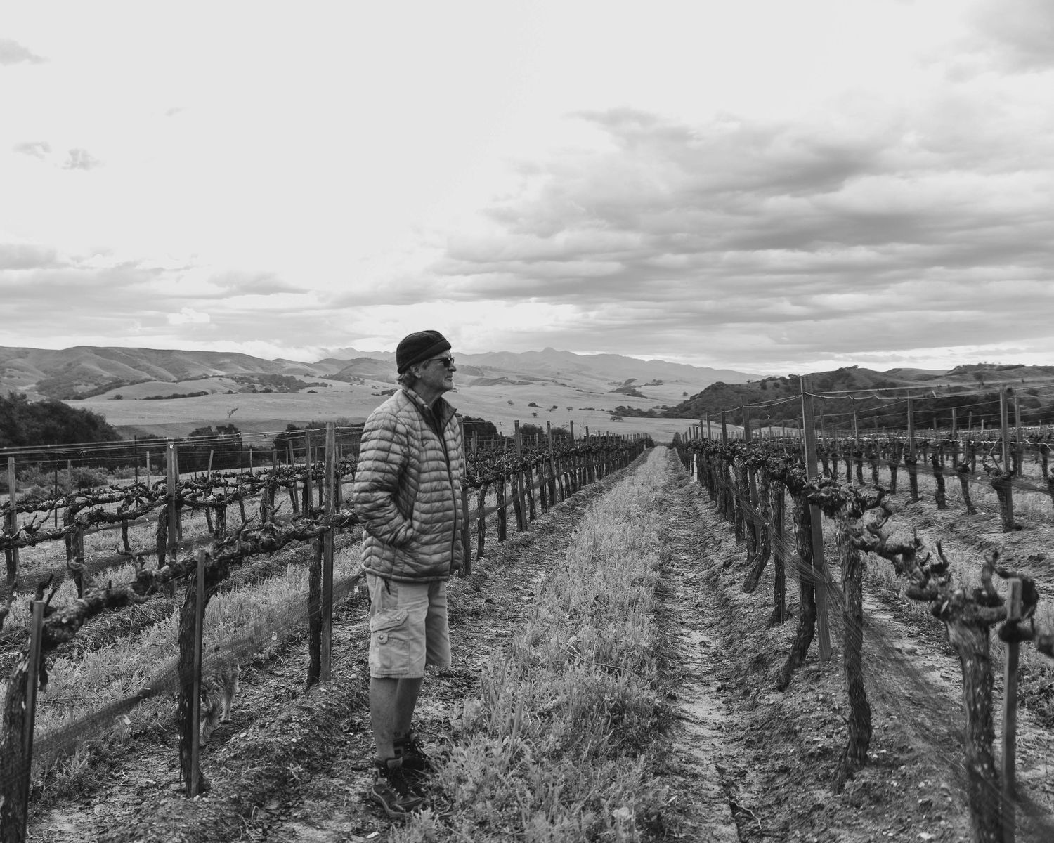 Billy Wathen, Director of Winemaking for Foxen Winery in Santa Maria, California, stands in a dormant vineyard