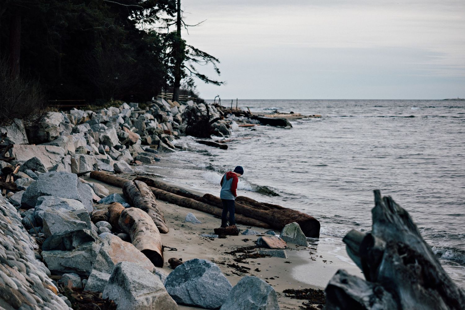 Person exploring rocky coastline with dramatic ocean views and evergreen trees.