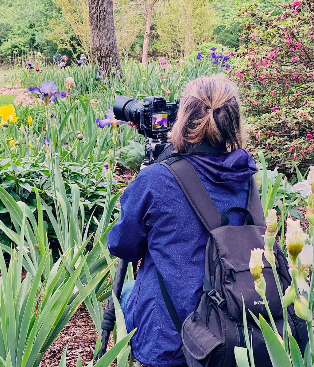 Jeanne taking iris photo in garden with Nikon D810 on a tripod. Photo by Alex Kent Photo