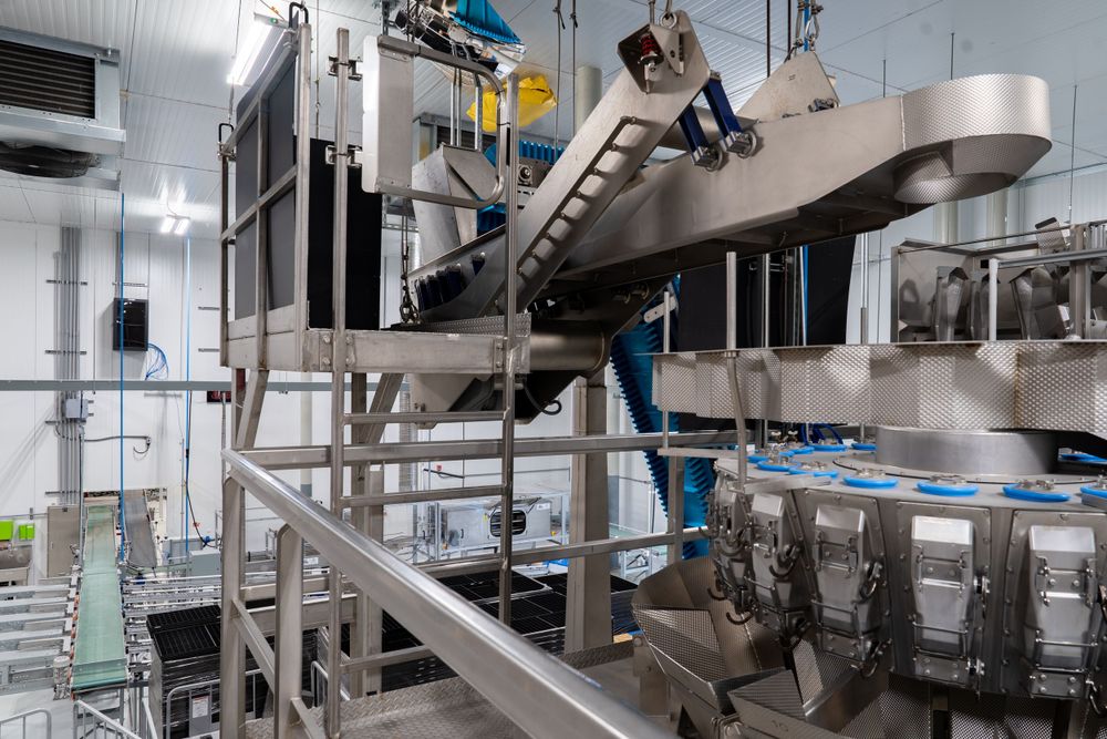 Industrial production line with stainless steel equipment and conveyor systems.
