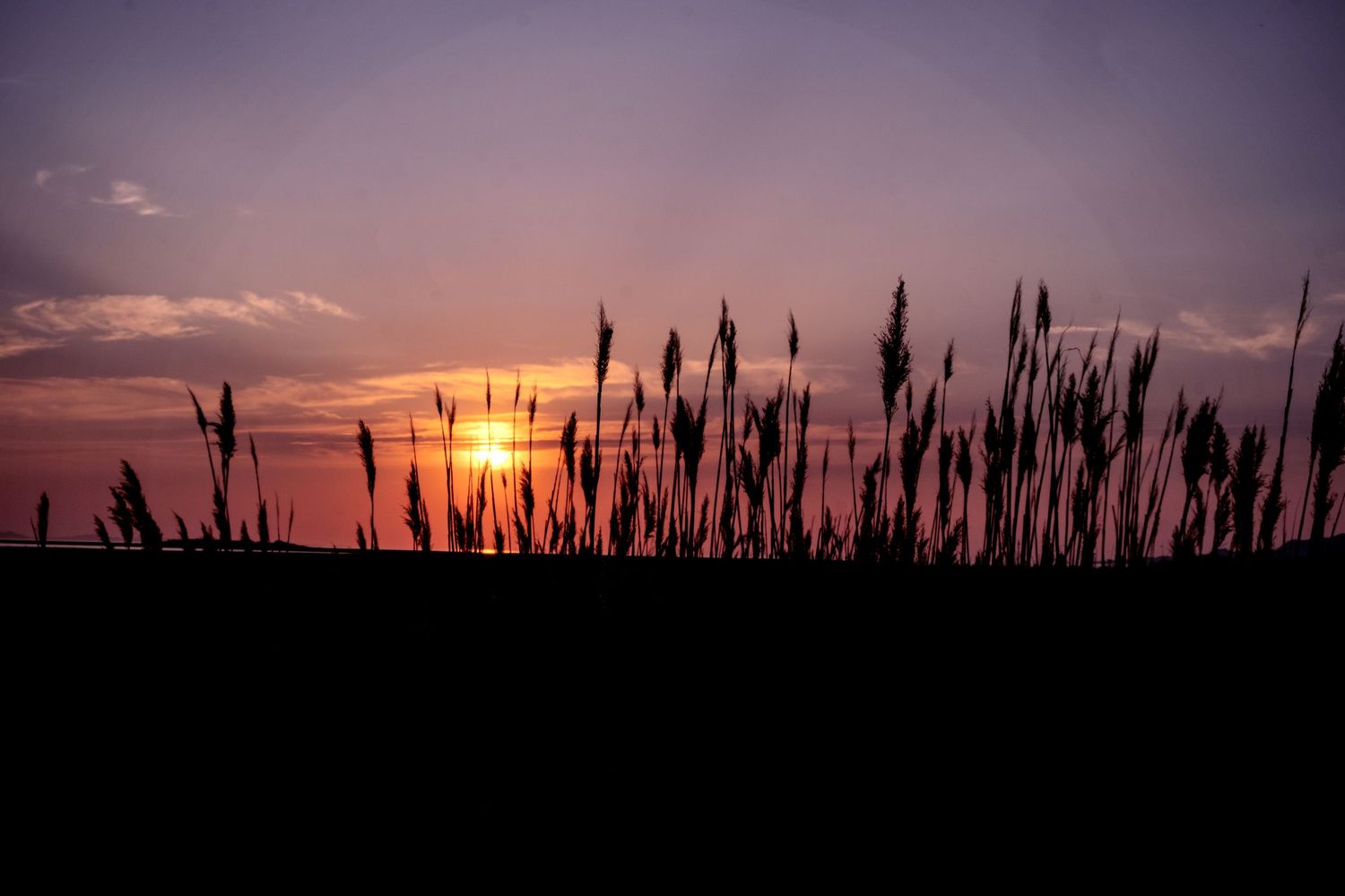 landscape sunset at Antelope Island in Utah by Michelle Deppe photography