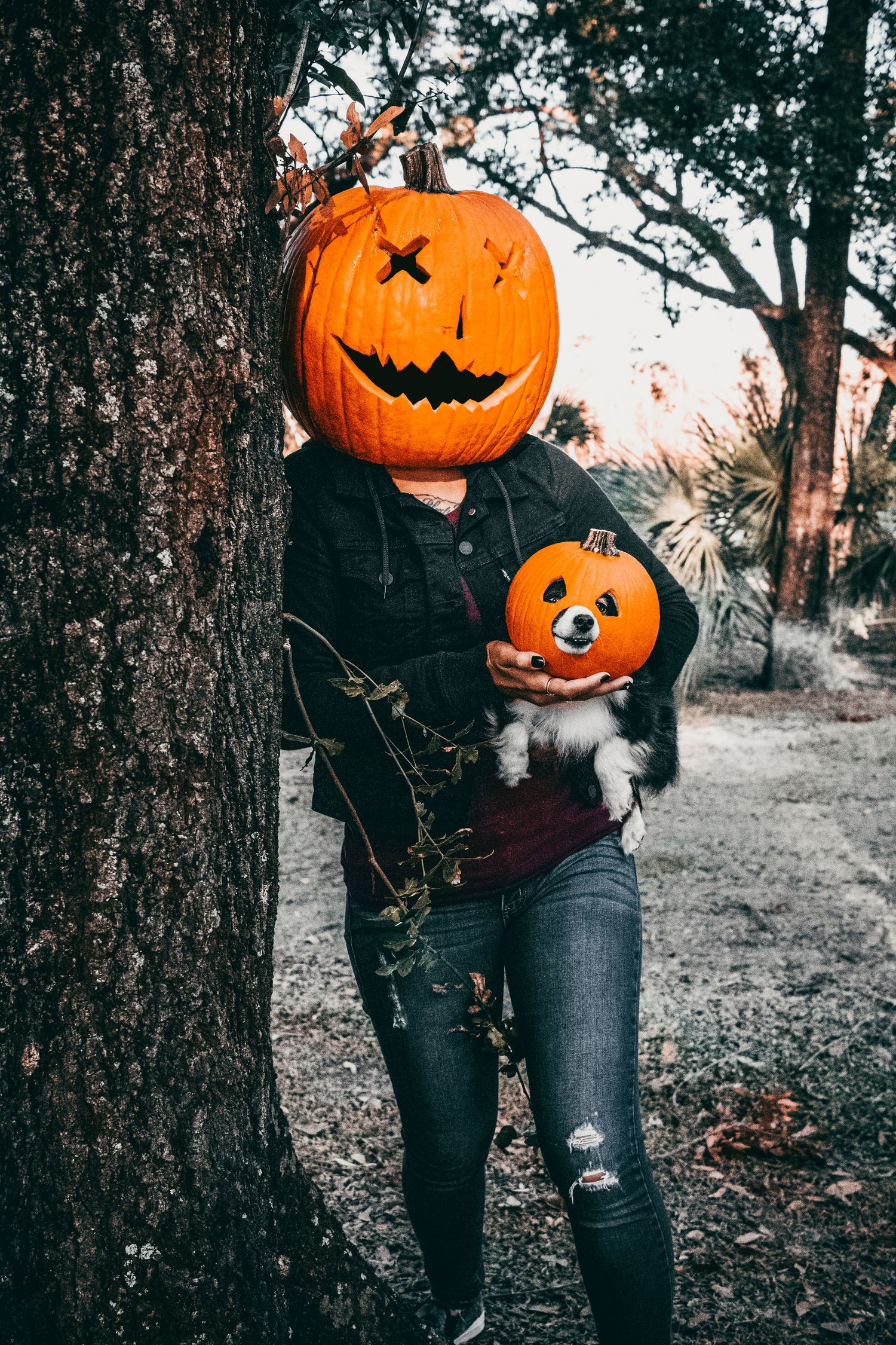 Girl with pumpkin head & little dog with pumpkin head for a photo