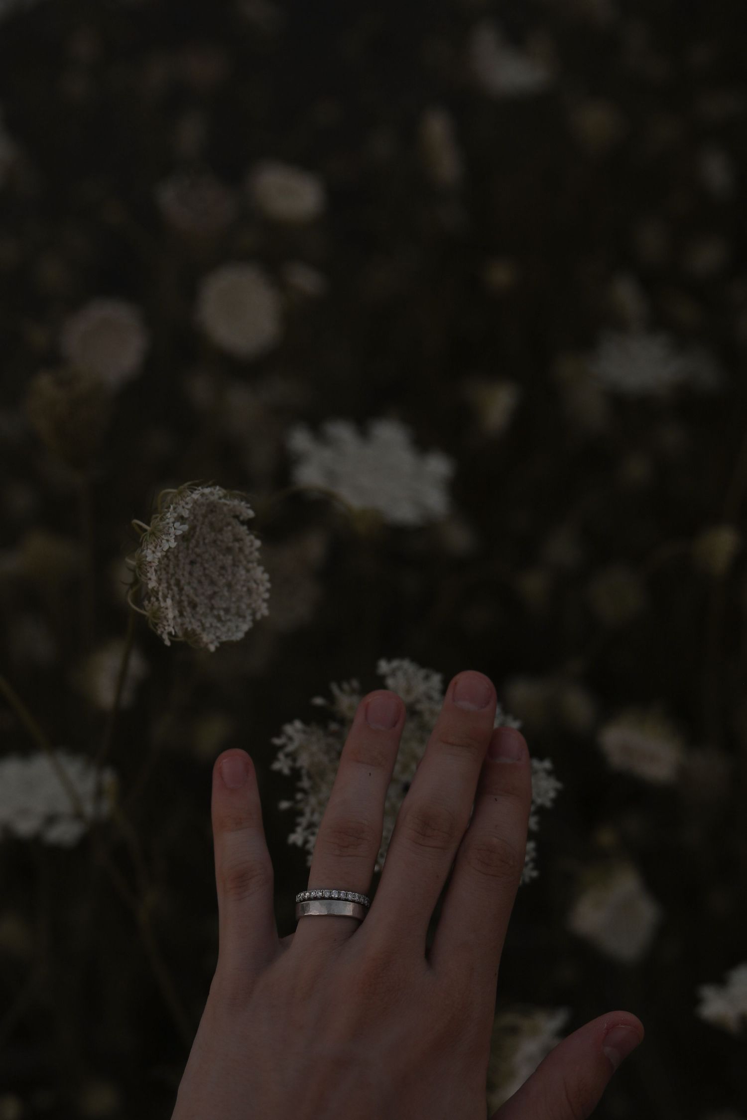 Hand wearing stacked rings reaches toward delicate bokeh lights in dark setting.