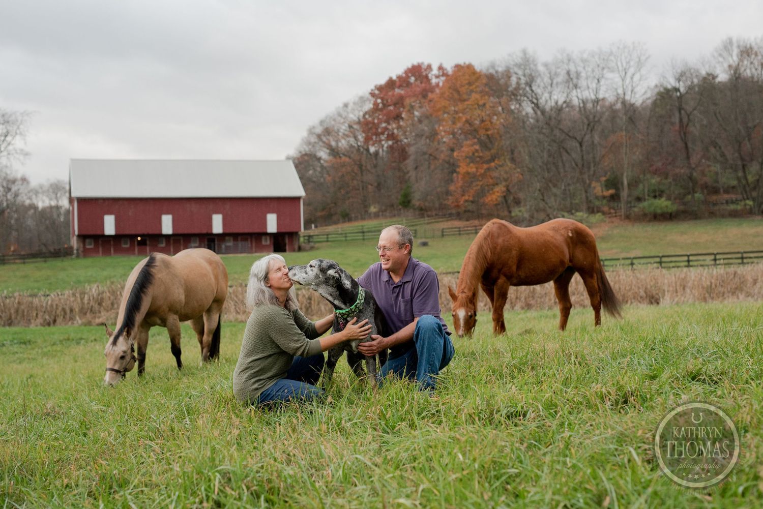 Two people sit in grass near grazing horses with a red barn in the rural landscape.