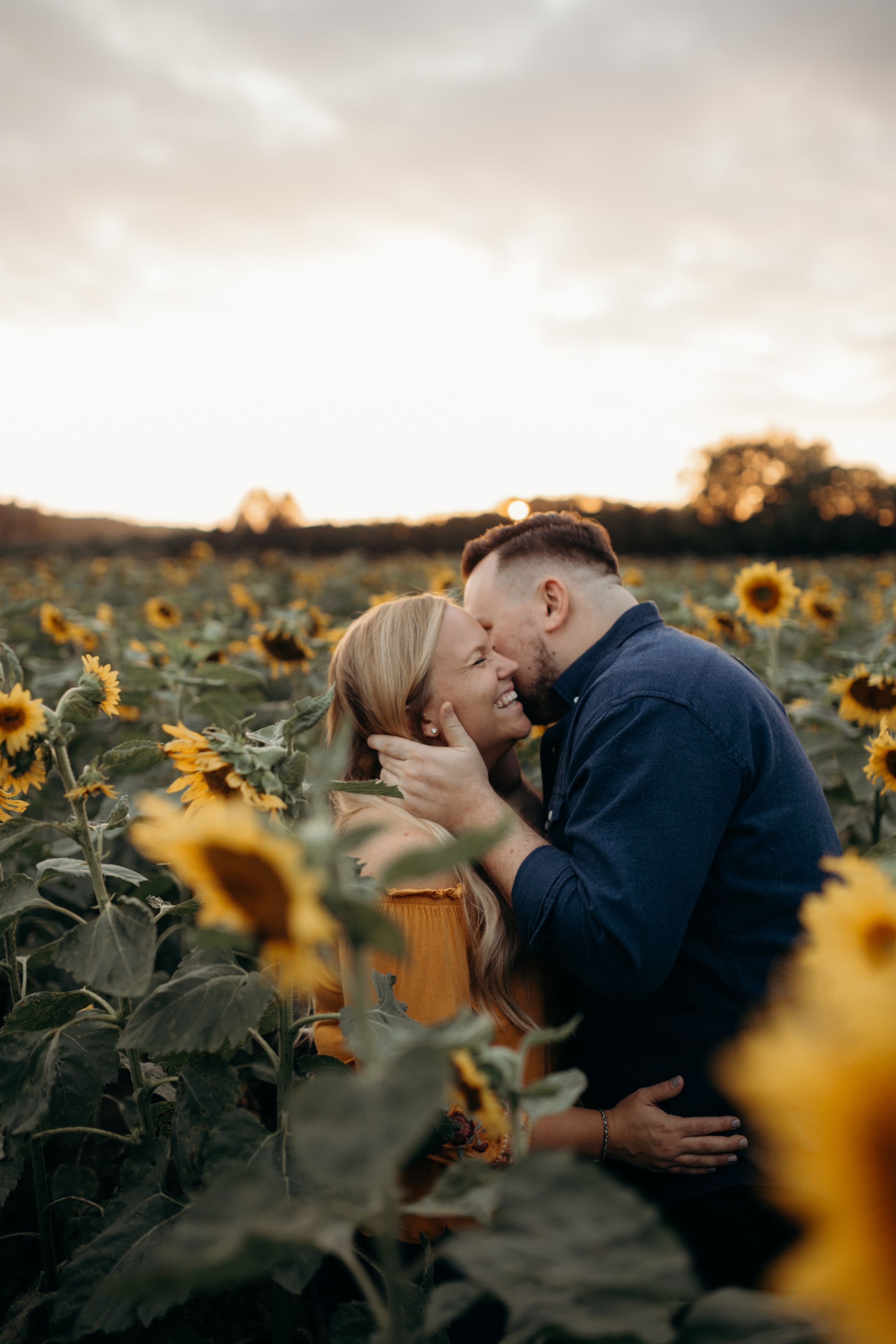 Romantic couple sharing intimate moment in sunflower field during golden hour sunset.