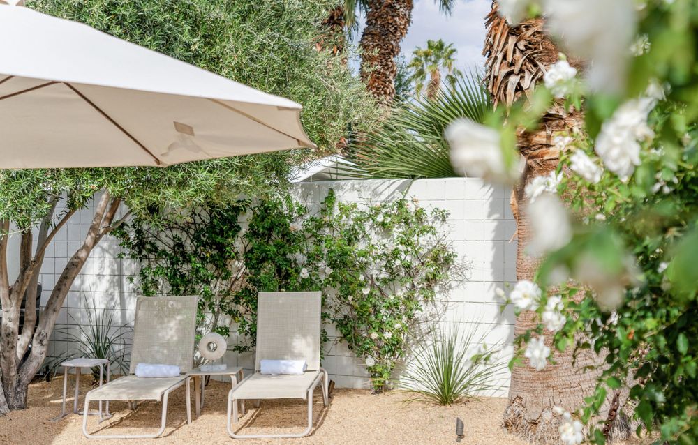 Serene outdoor patio with white lounge chairs under umbrella surrounded by lush desert garden.