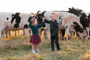 kids holding hands in front of cows at sunset in orland, california family portrait session