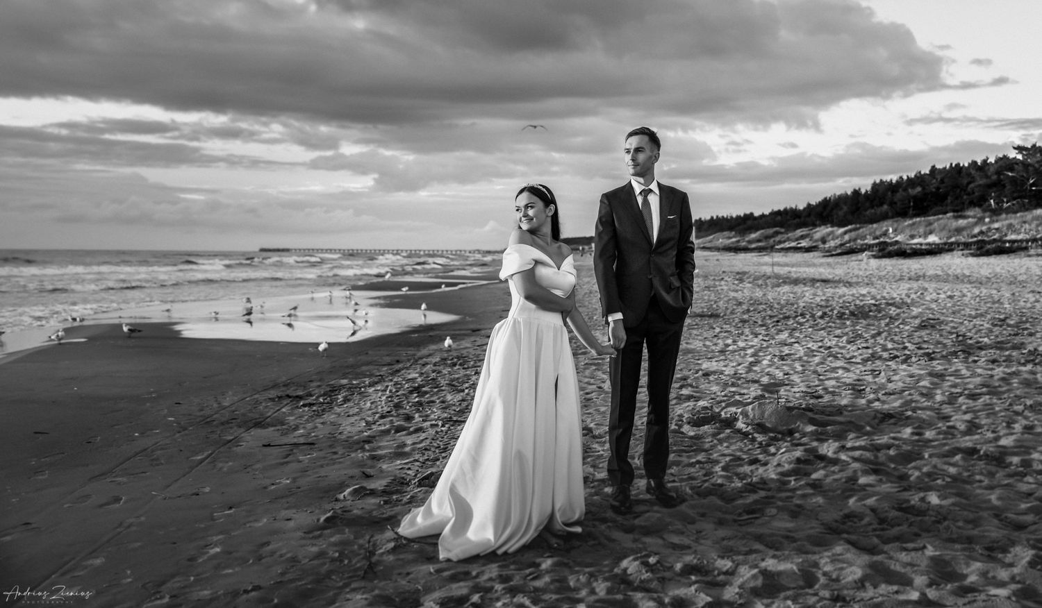 Dramatic beach wedding photography series with cloudy sky and ocean backdrop.