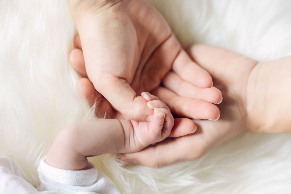 Newborn holding parents hand family photo