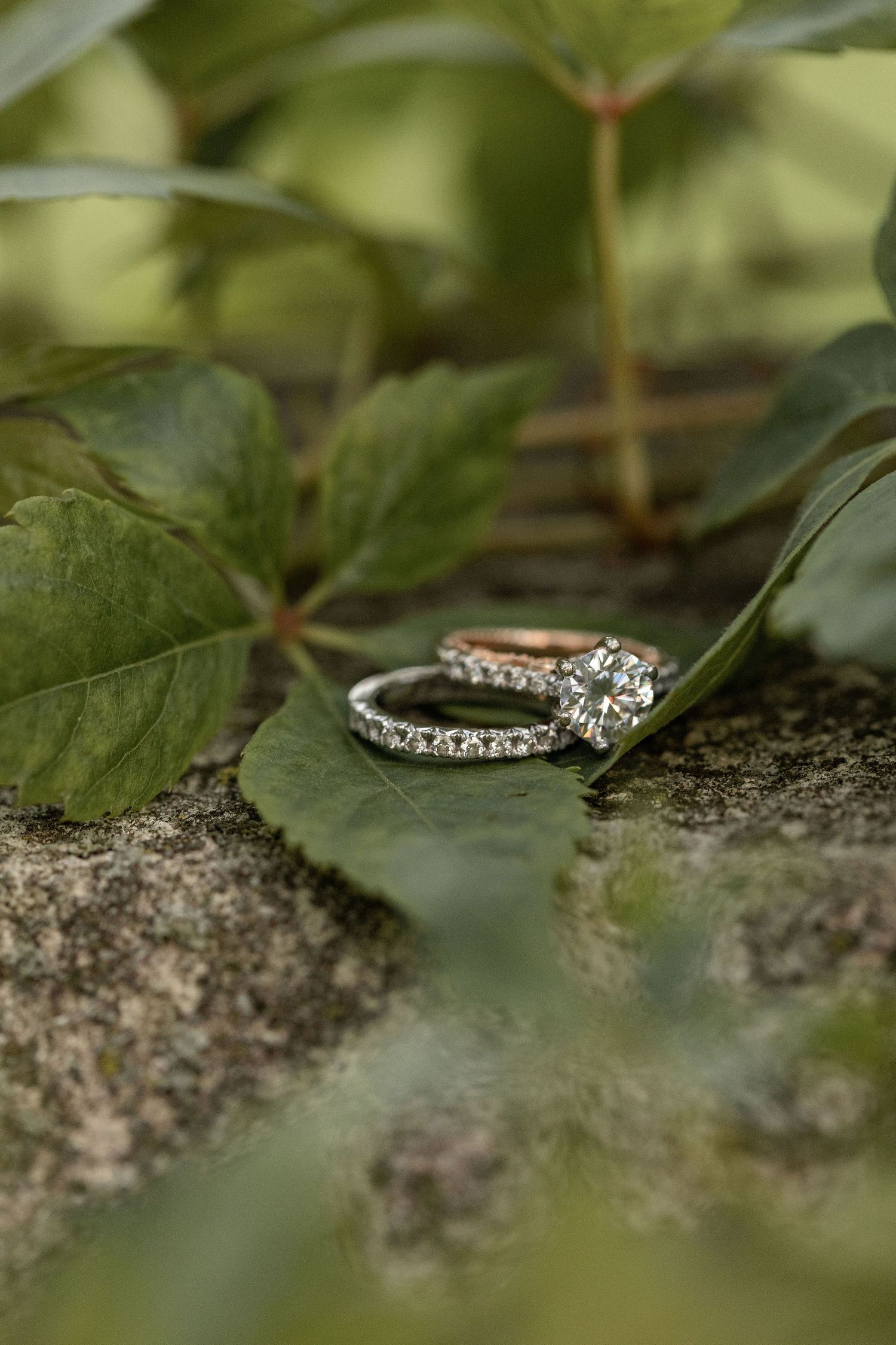 Diamond engagement ring set photographed on stone with green leaves.