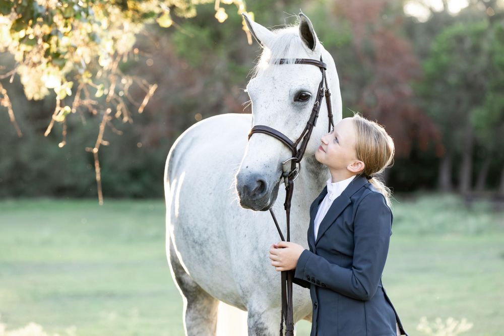 Equine Photography