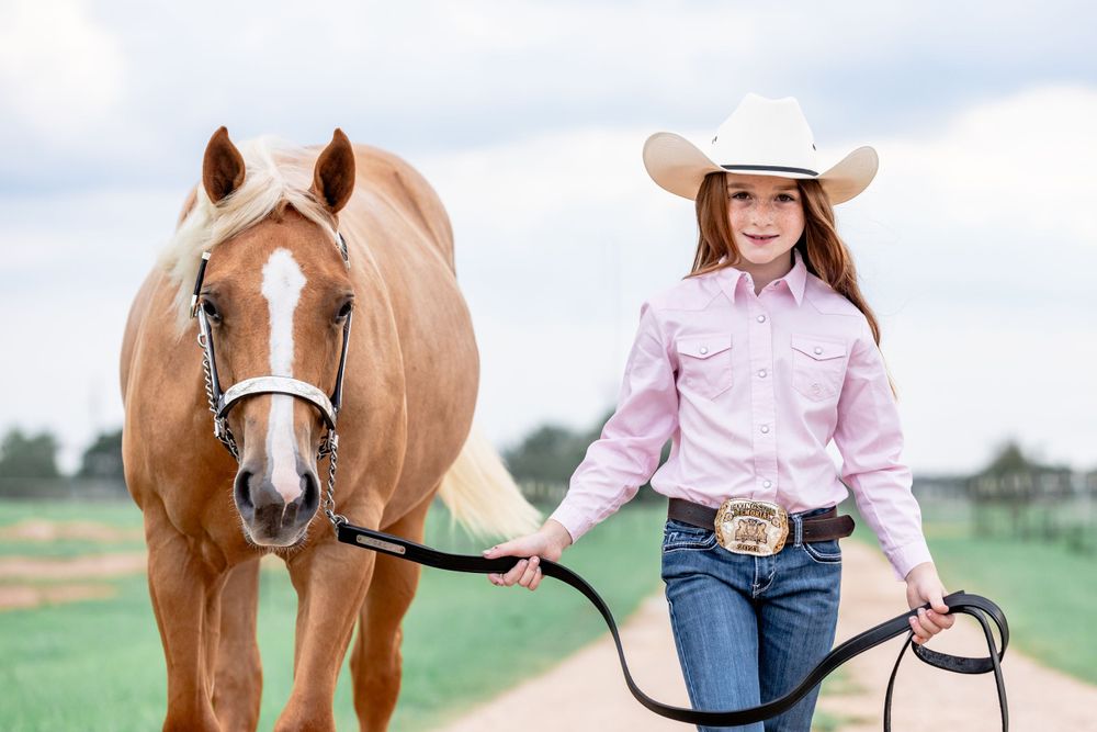 Fair Colt Project