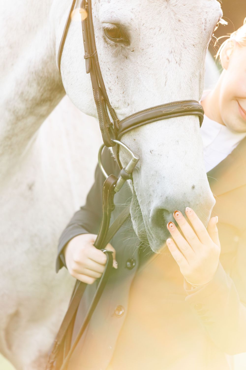 Equine Photographer