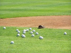 The First Sign of Spring