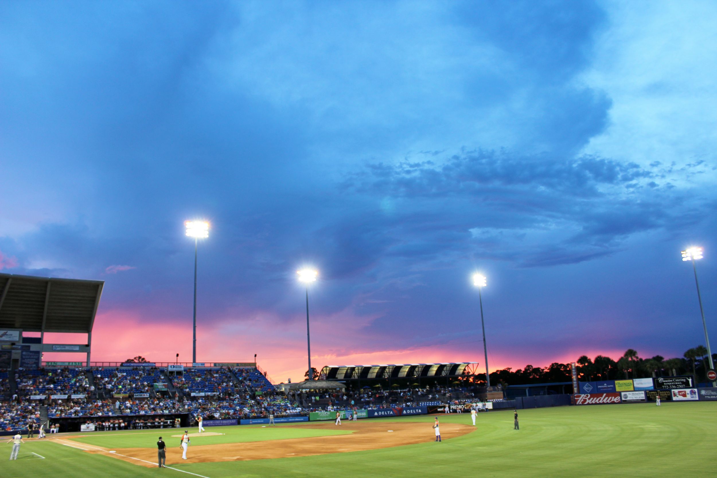 Field of Dreams