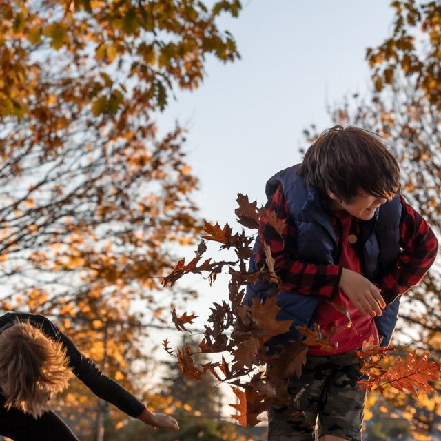 Two children laugh during colourful Autumn leaf throwing outdoor lifestyle photo session in North Vancouver