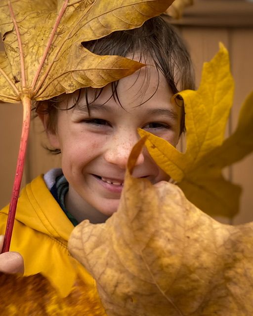 Child smiles through yellow autumn leaves at North Vancouver outdoor lifestyle photo session