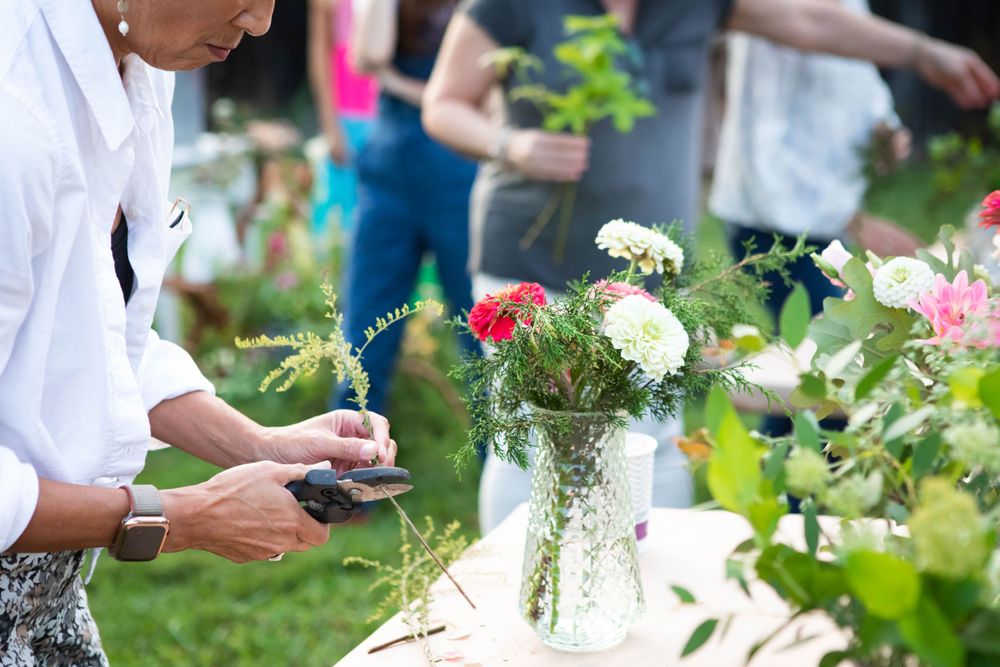 knoxville photographer event branding small business