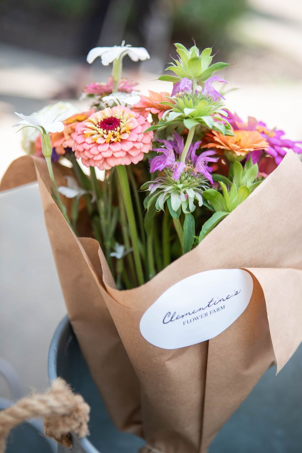 knoxville photographer branding small business