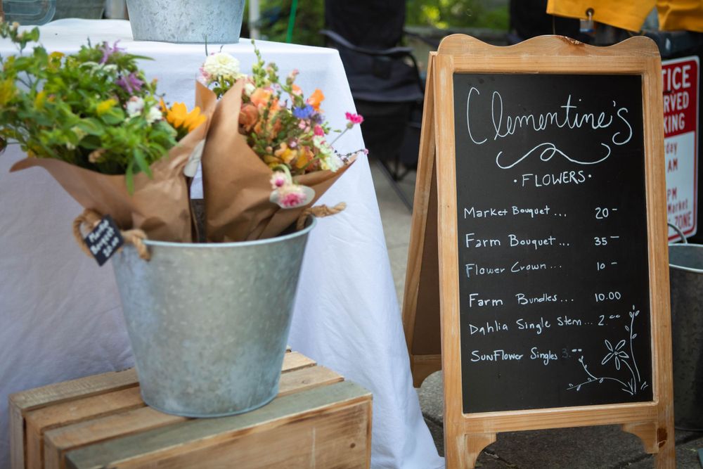 knoxville photographer branding small business
