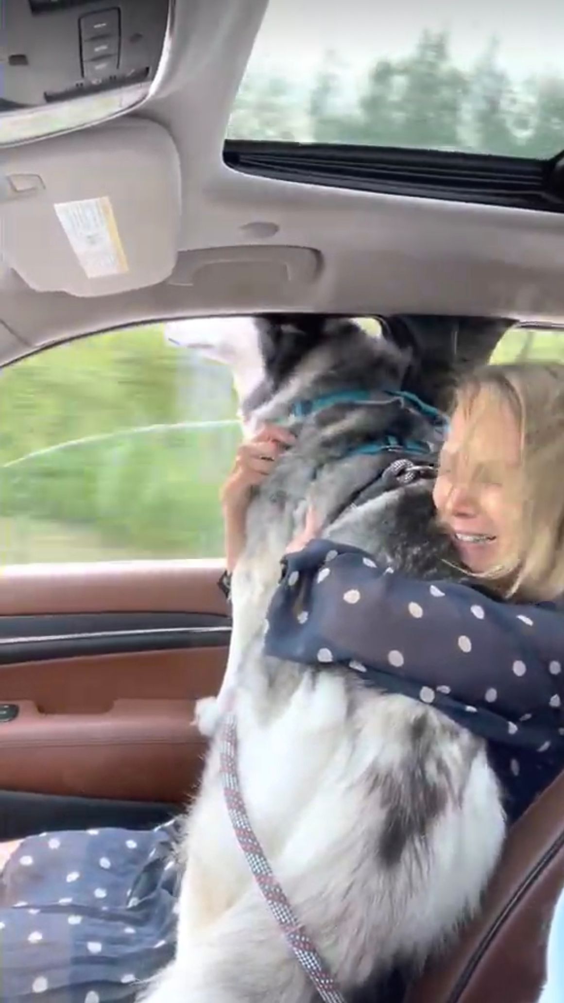 My reunion with Atlas