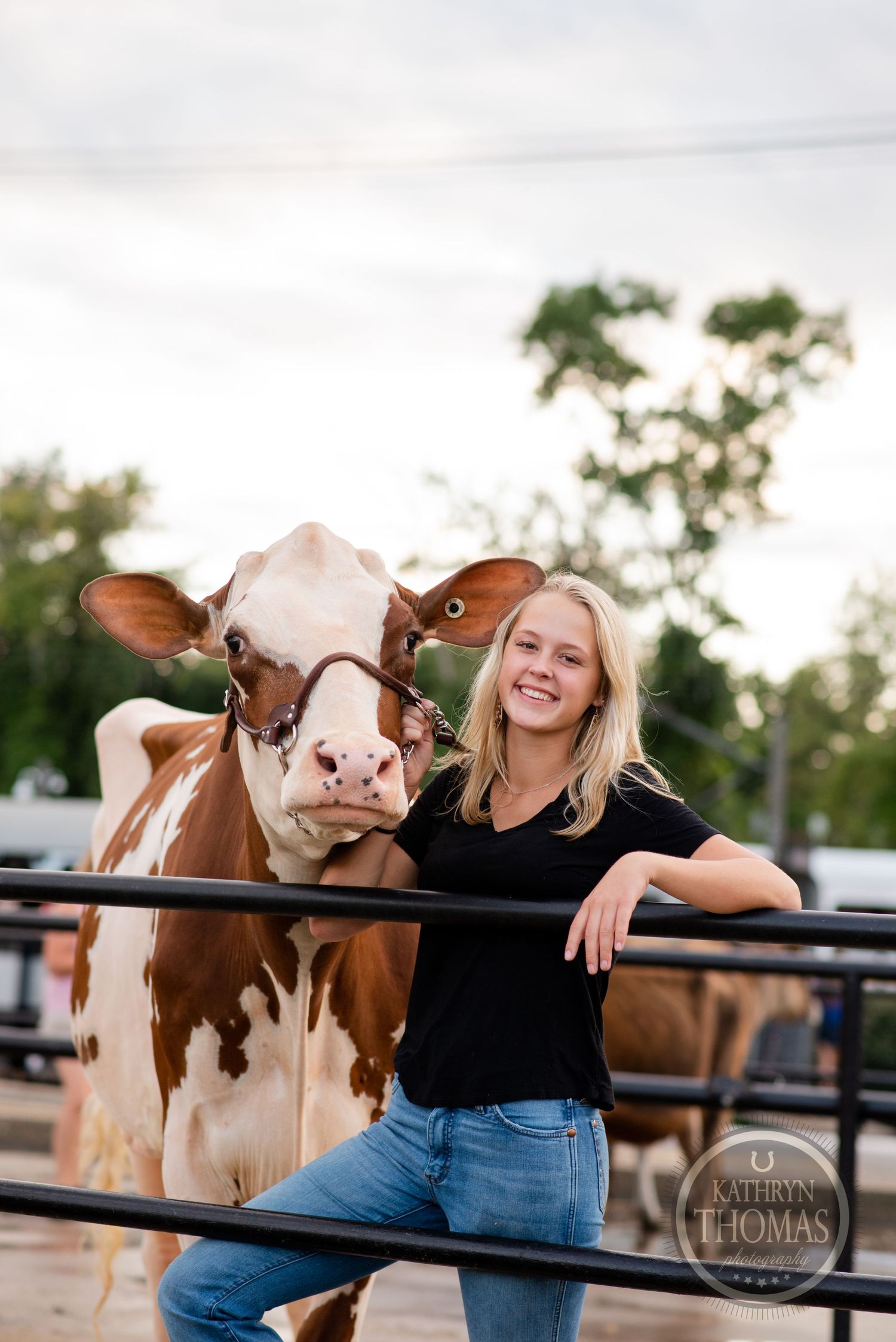 A brown and white dairy cow poses playfully next to a person in a black shirt leaning on metal farm gates.