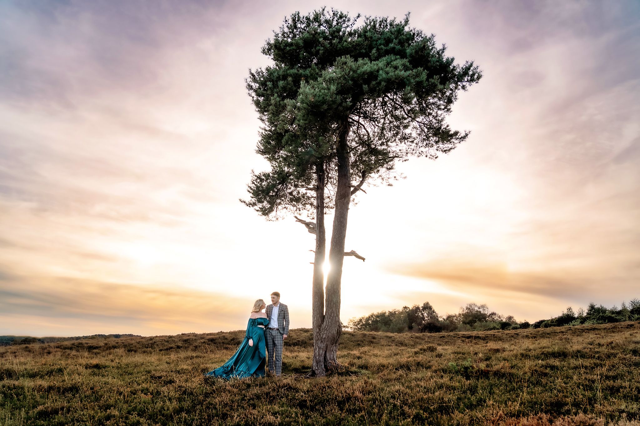 New Forest engagement session with a gorgeous tree at sunset.